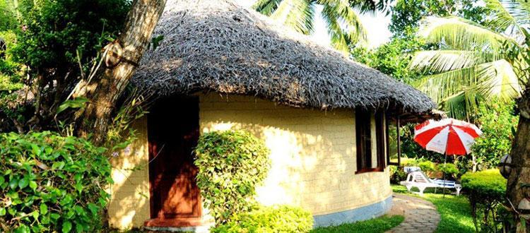 Nikki'S Nest Otel Vizhinjam Dış mekan fotoğraf
